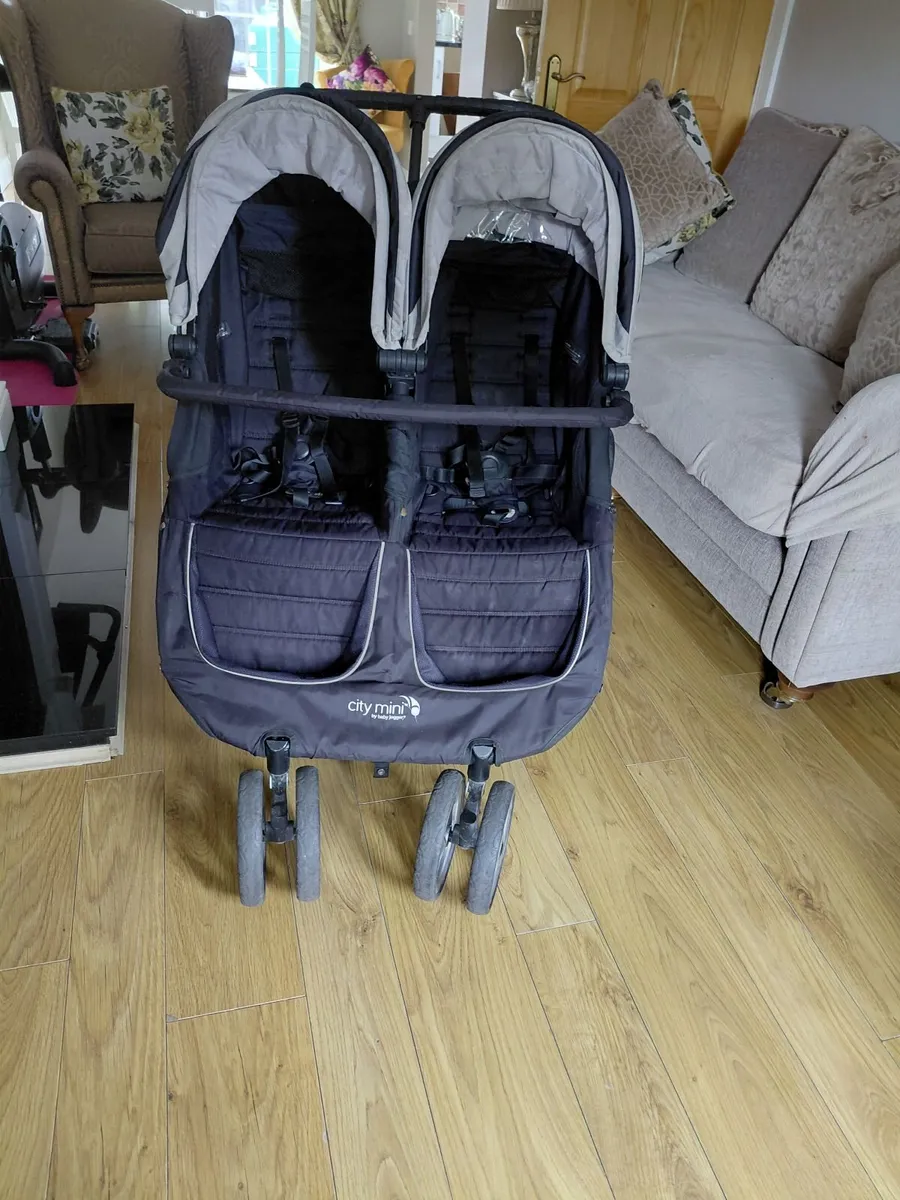 Double Buggy - Image 2