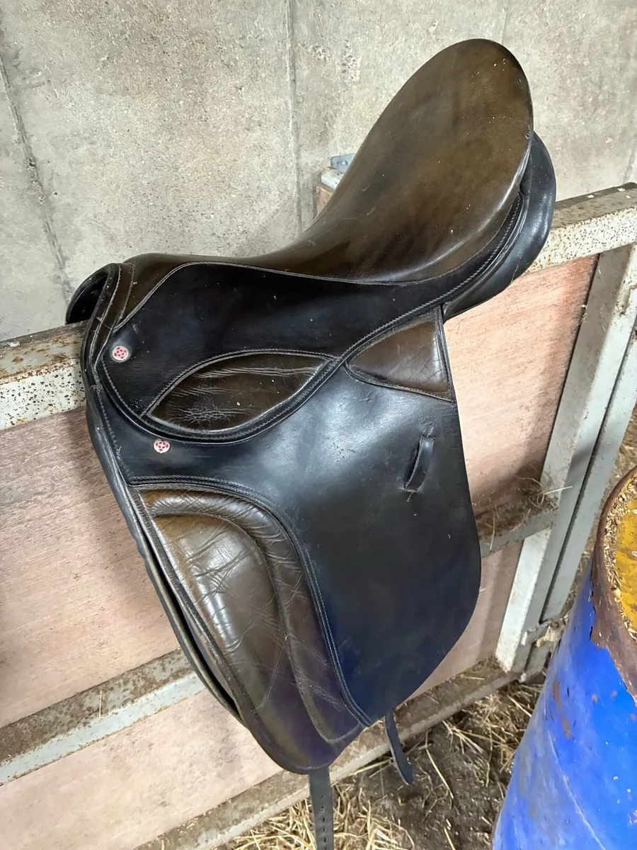 Saddles, girth and stirrups - Image 1