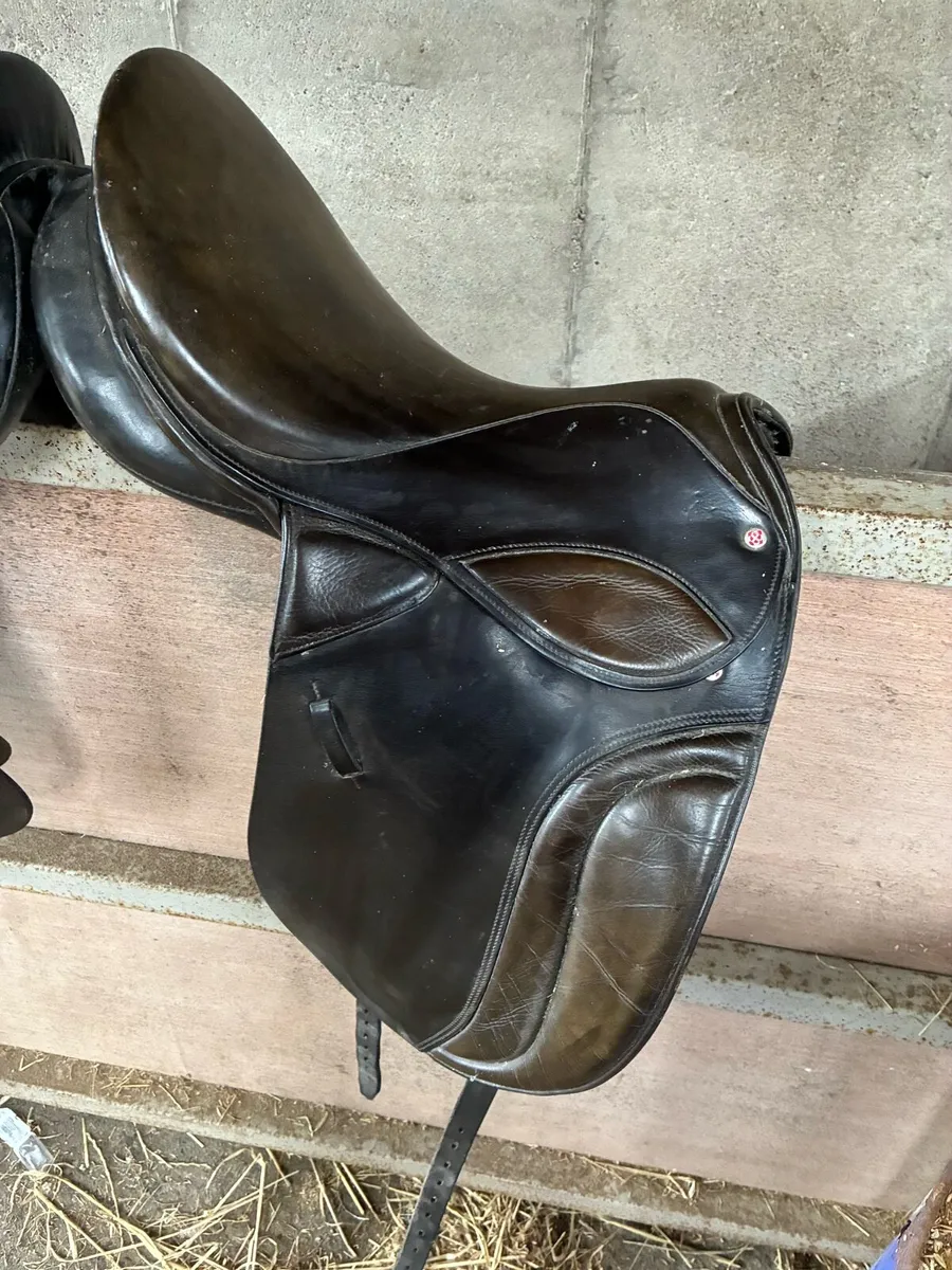 Saddles, girth and stirrups - Image 2