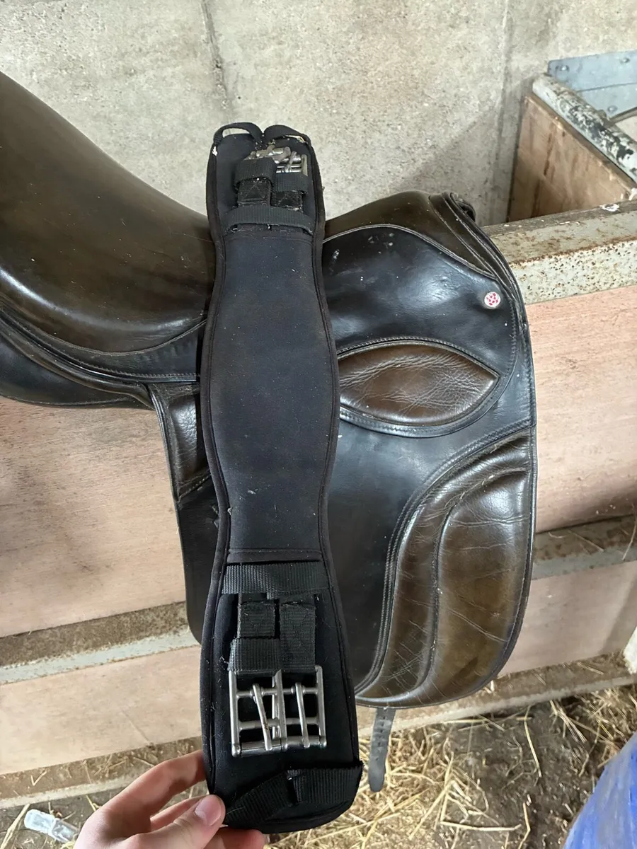 Saddles, girth and stirrups - Image 3