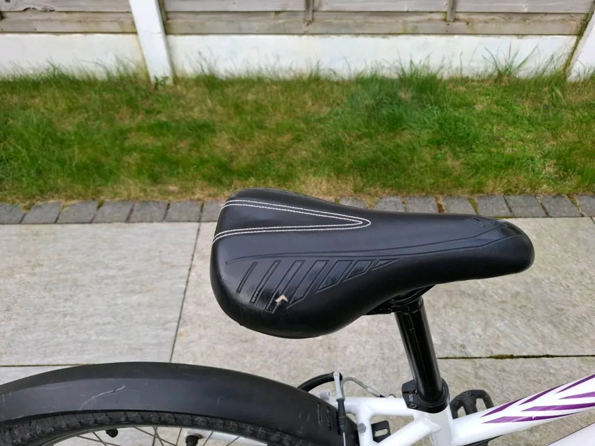 20 inch Specialized Hotrock girls 1x6 - Image 4