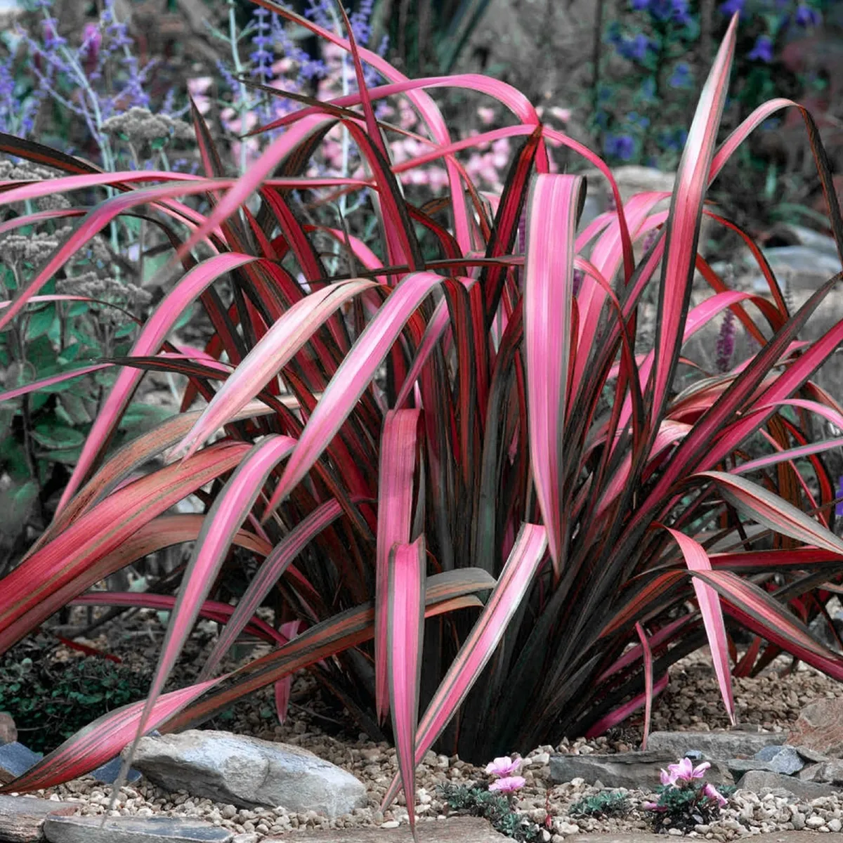 plants and landscaping - Image 2