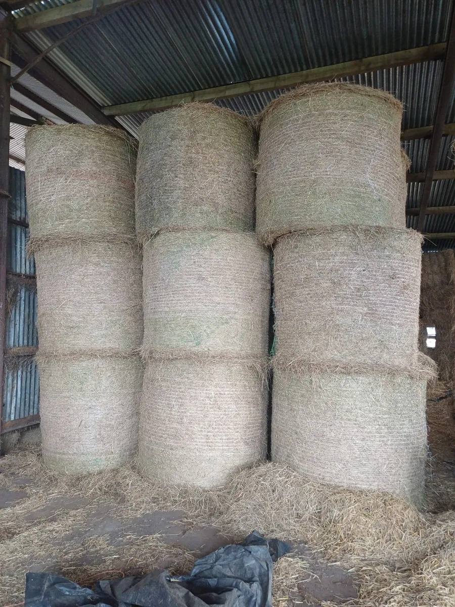 Hay and Straw