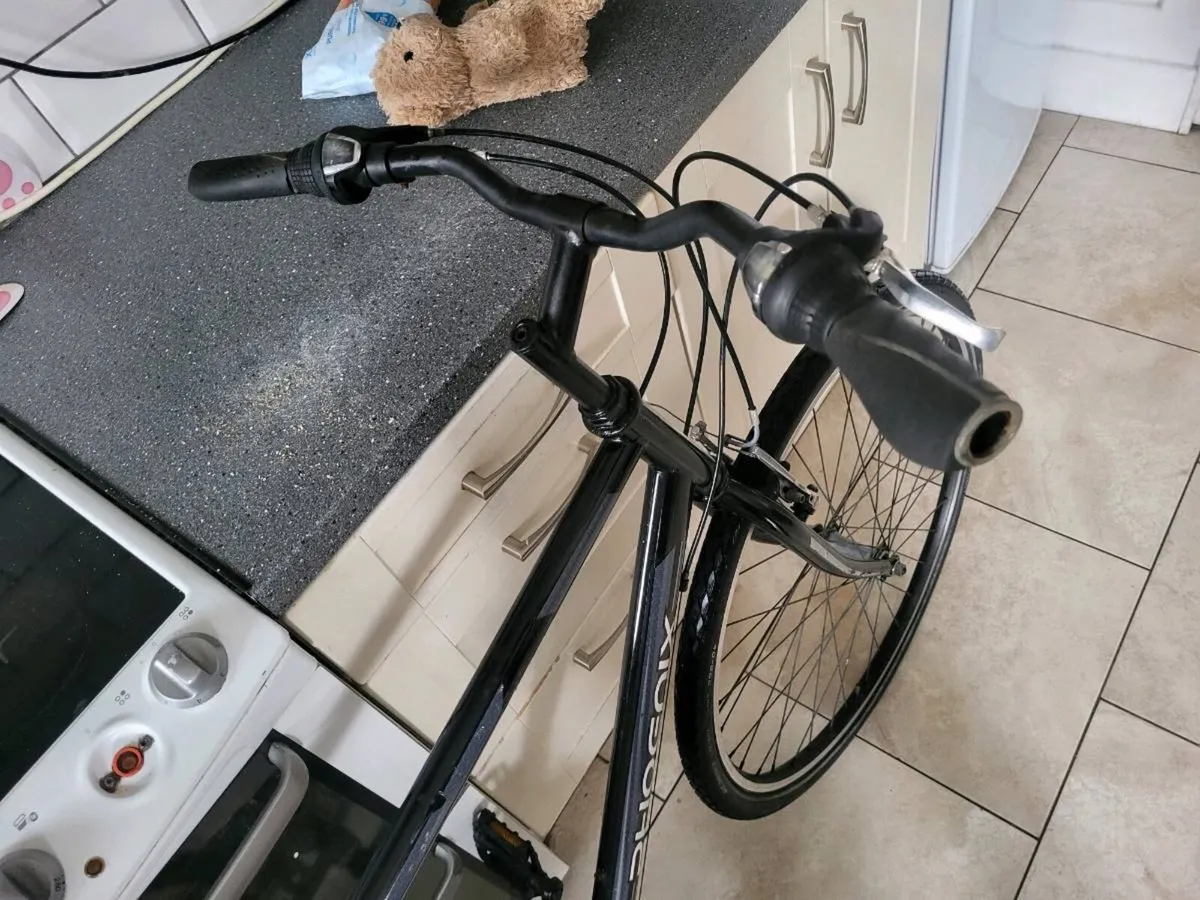 Bike - Image 2