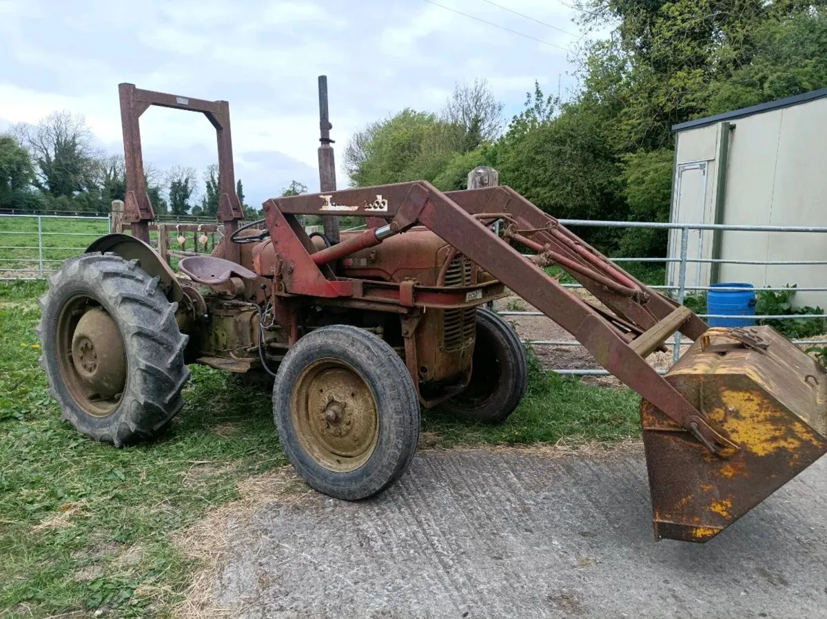 Massey Ferguson - Image 1