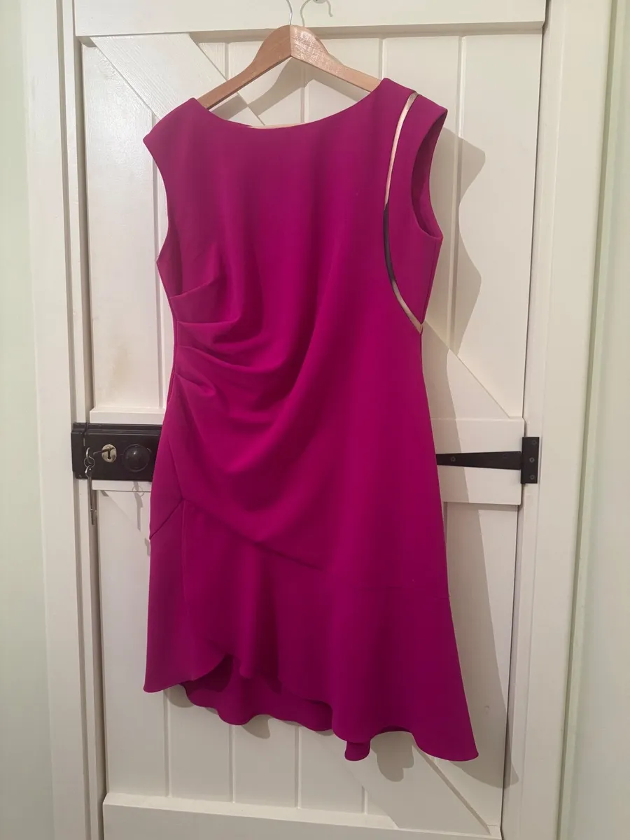 Caroline Kilkenny Dress - Image 4