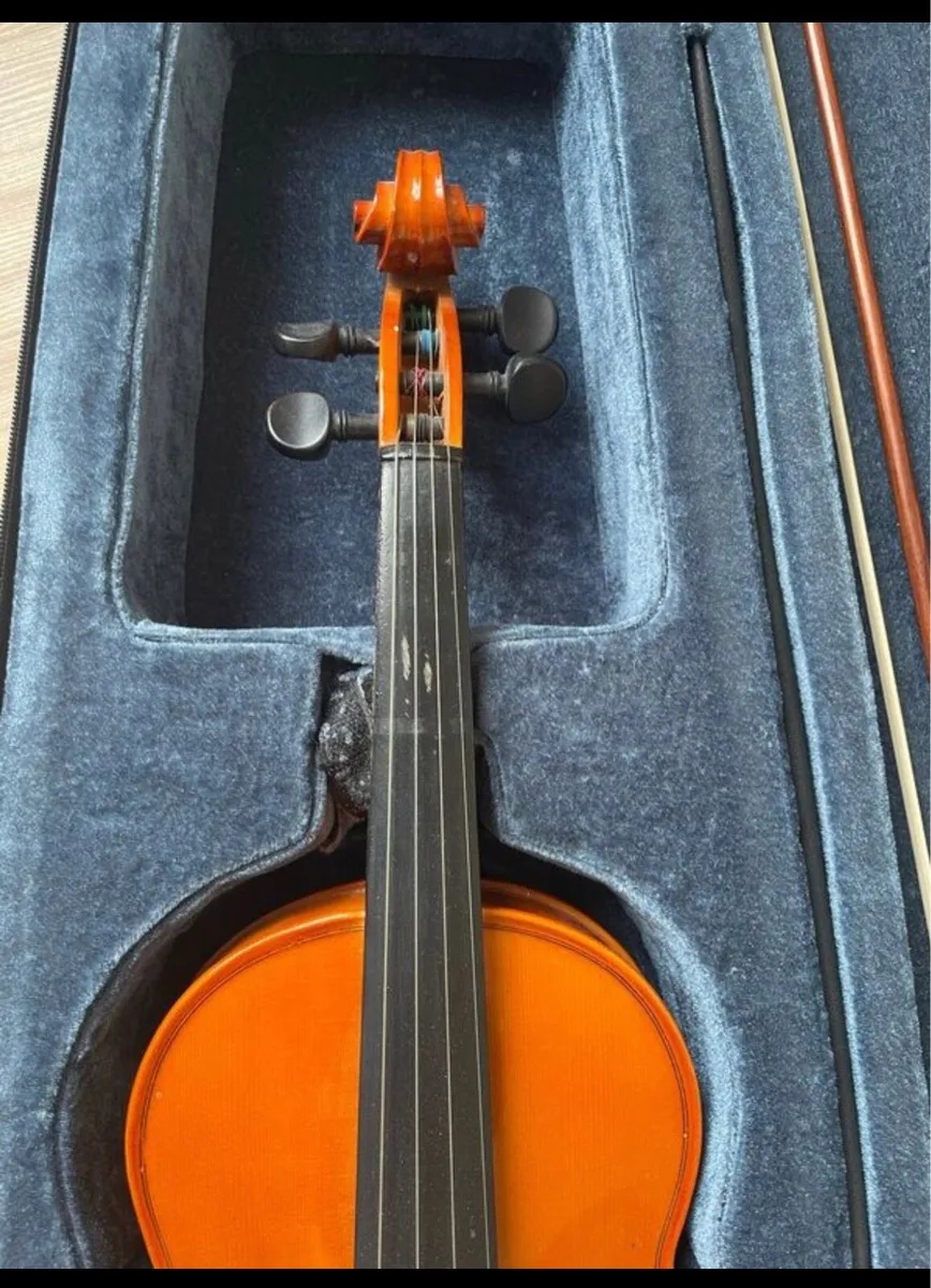 Valencia Violin with extras - Image 2