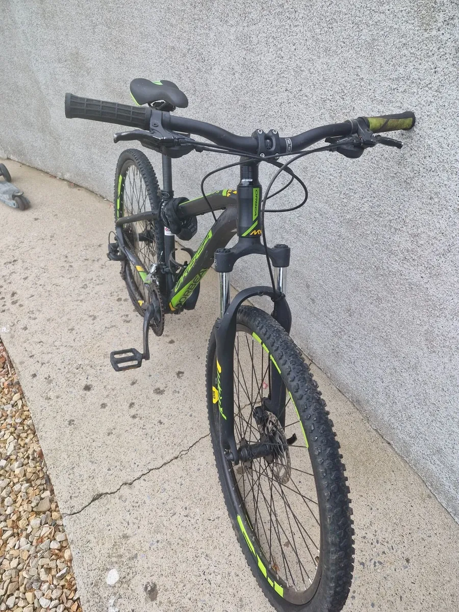 Cycling - Image 3