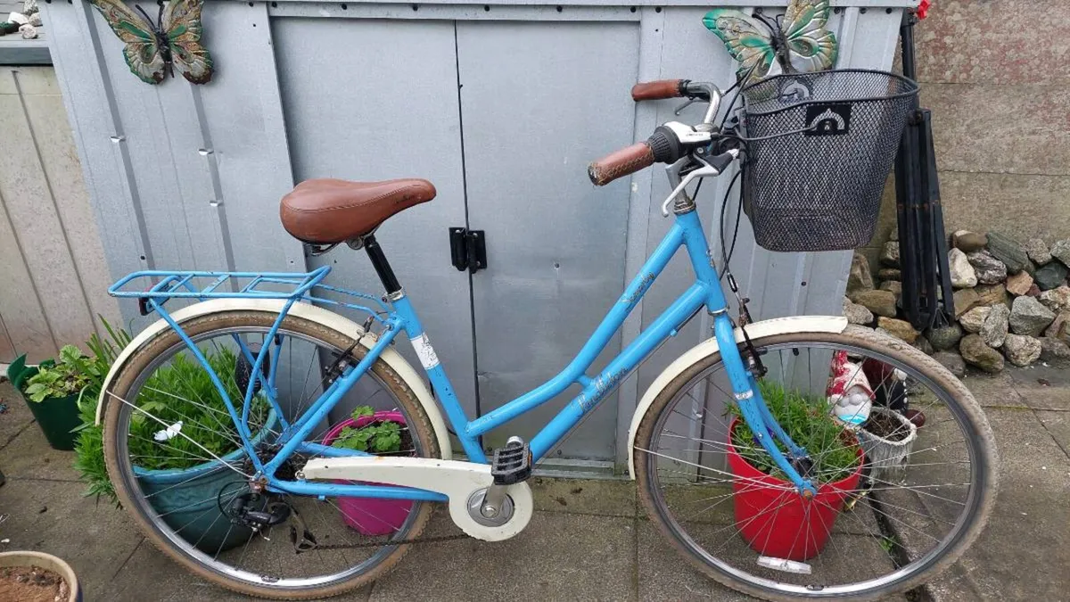 Raleigh Ladies Step Through City Bike - Image 1