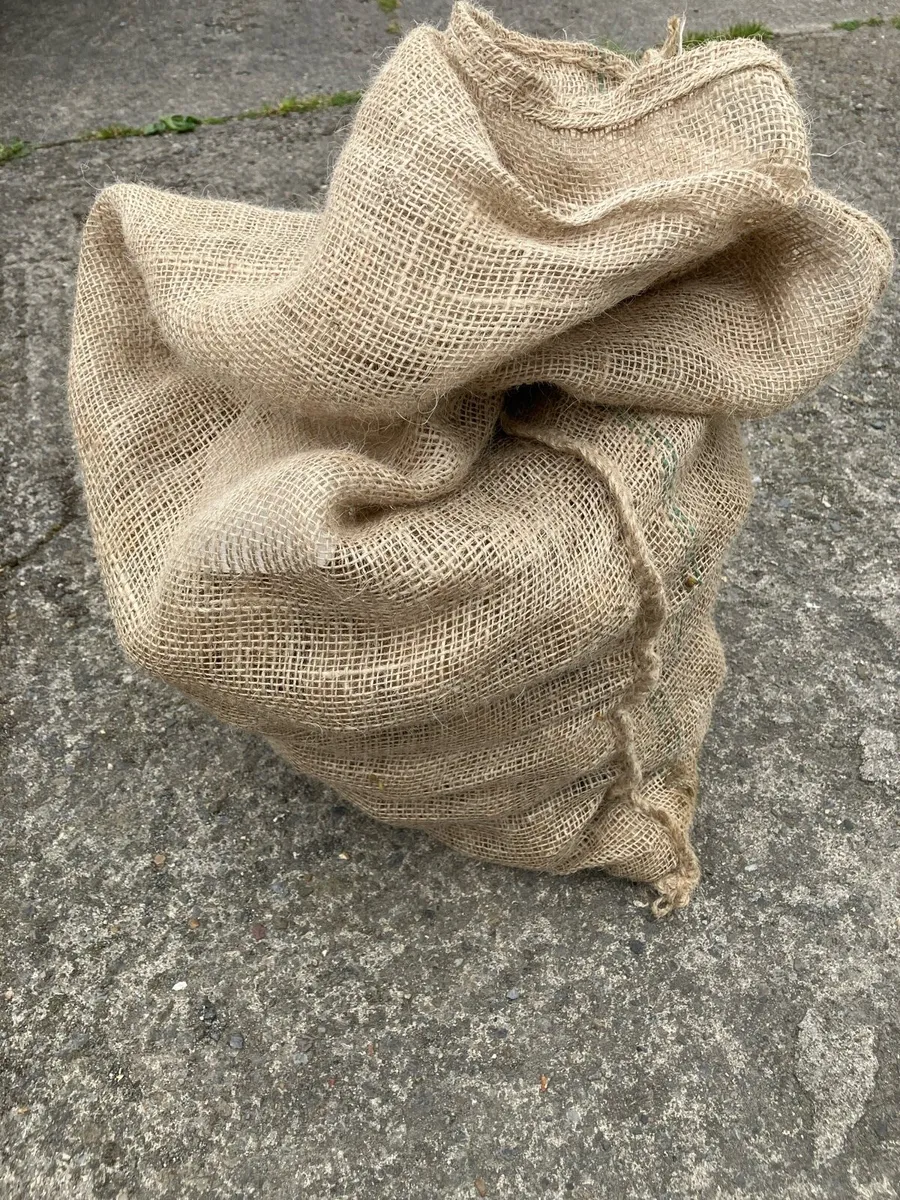 Seed Potatoes