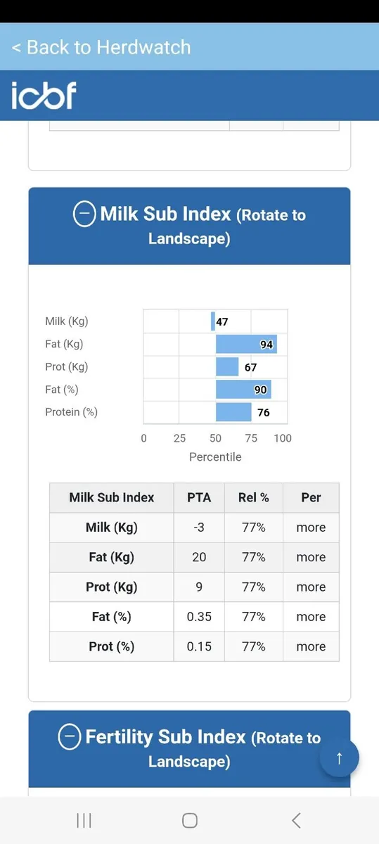 Friesian bull calves - Image 1