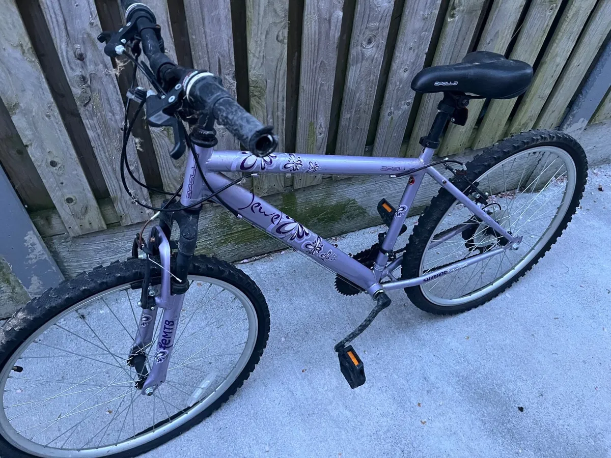 Bicycle - Image 1