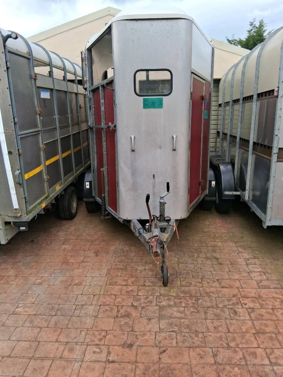 Ifor Williams 505 horse box - Image 2