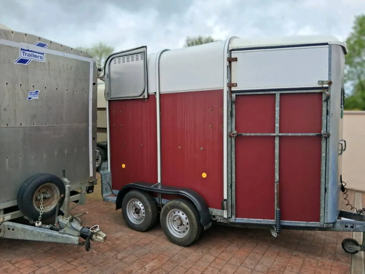 Ifor Williams 505 horse box - Image 3