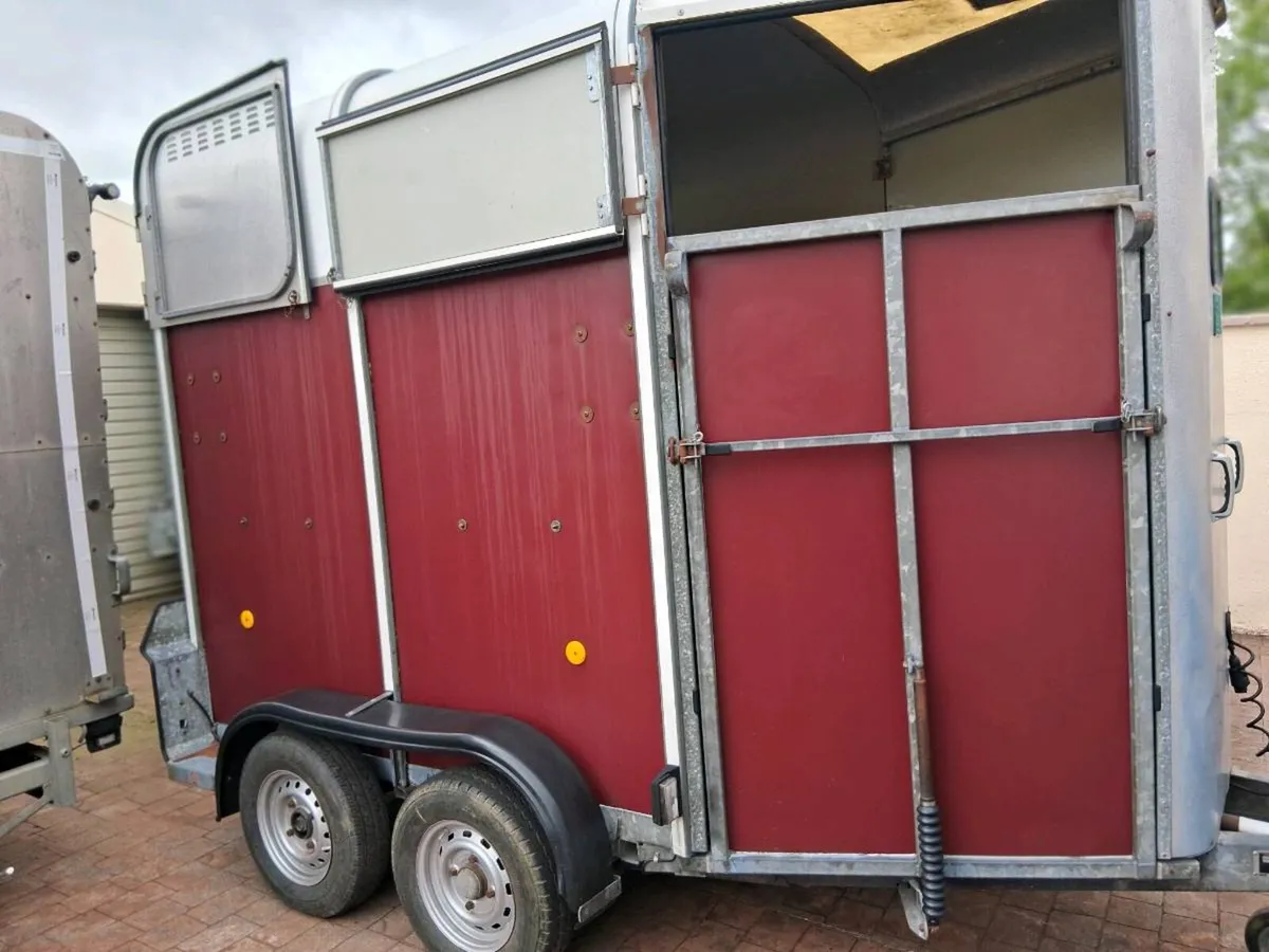 Ifor Williams 505 horse box - Image 4