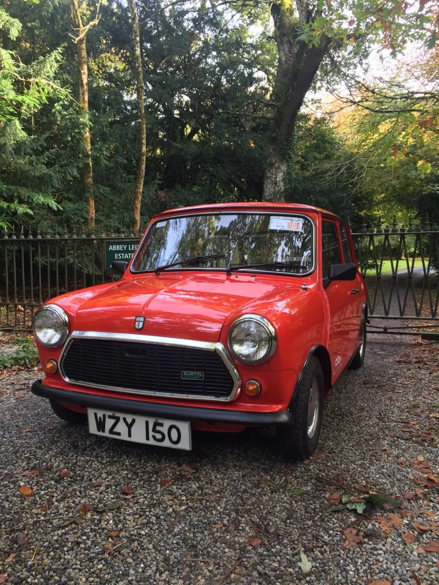 Austin Mini City Tripper - Image 1