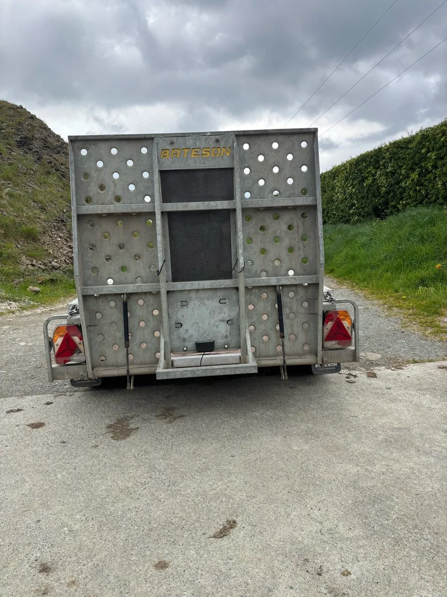 Bateson 8’2” x 4’2” plant trailer - Image 3
