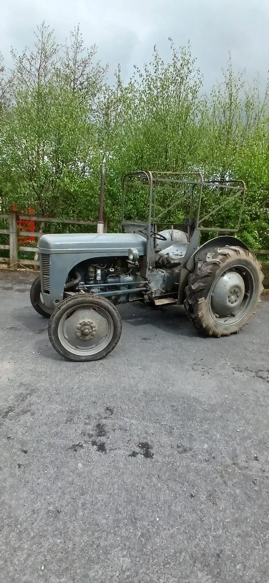 1951 ferguson 20 Tvo - Image 4