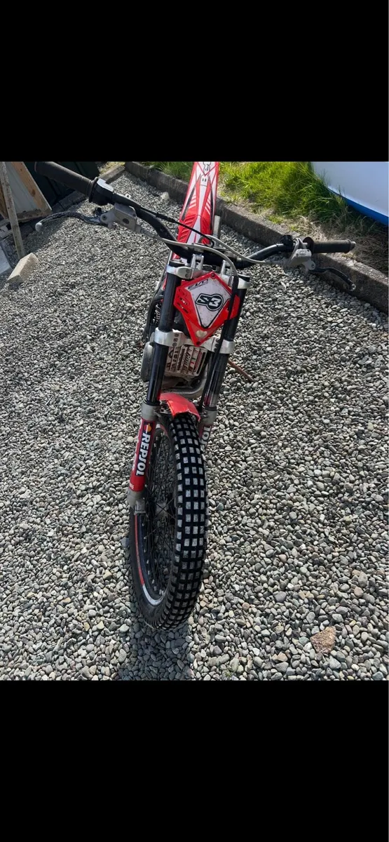 Beta Evo 300 Trial bike - Image 2