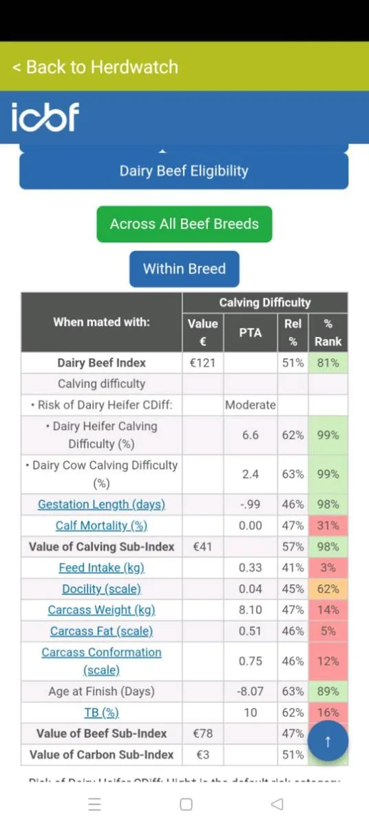 Angus bull only 6.6% on dairy heifers 2.4% on cows - Image 3