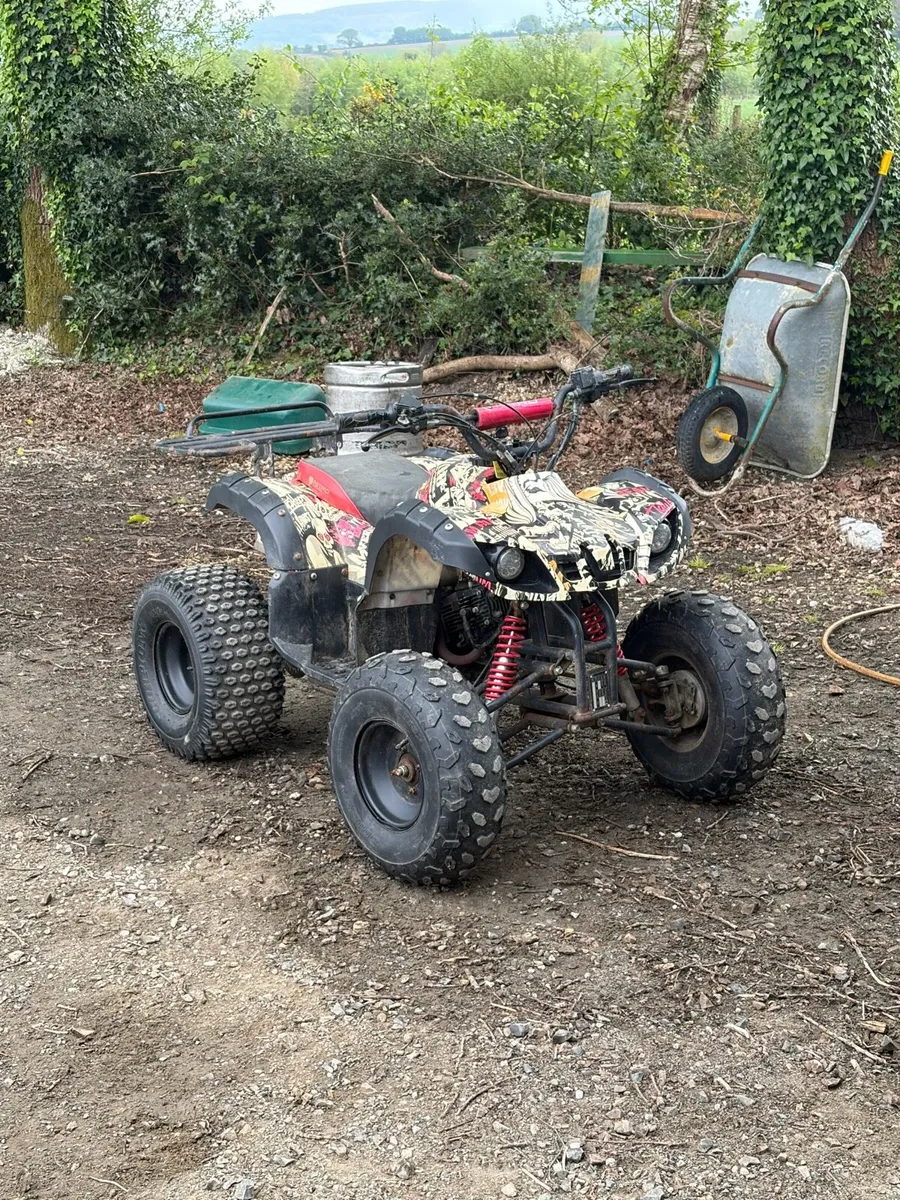 Kids quad - Image 1