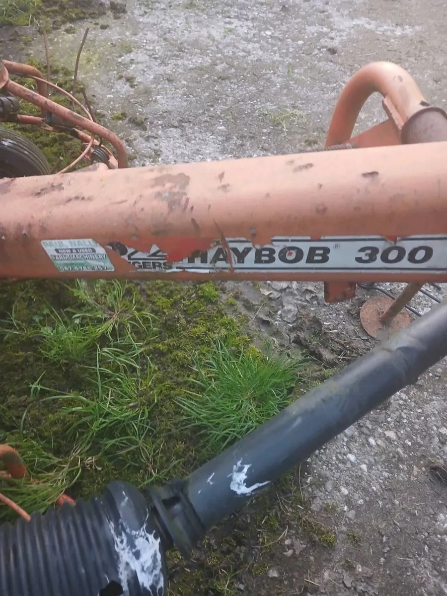 PZ 300 HAYBOB - Image 2