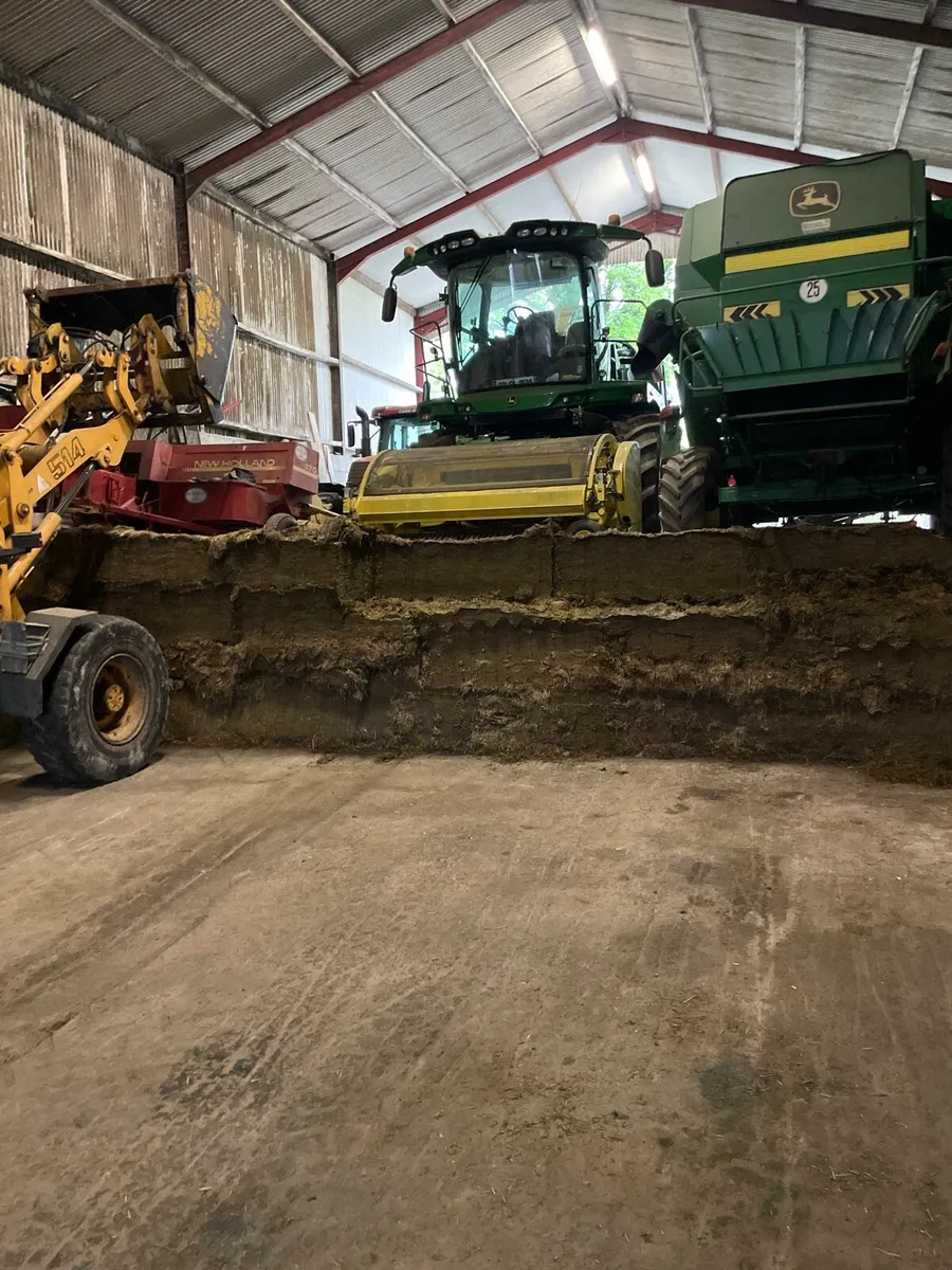 1st cut pit silage - Image 1