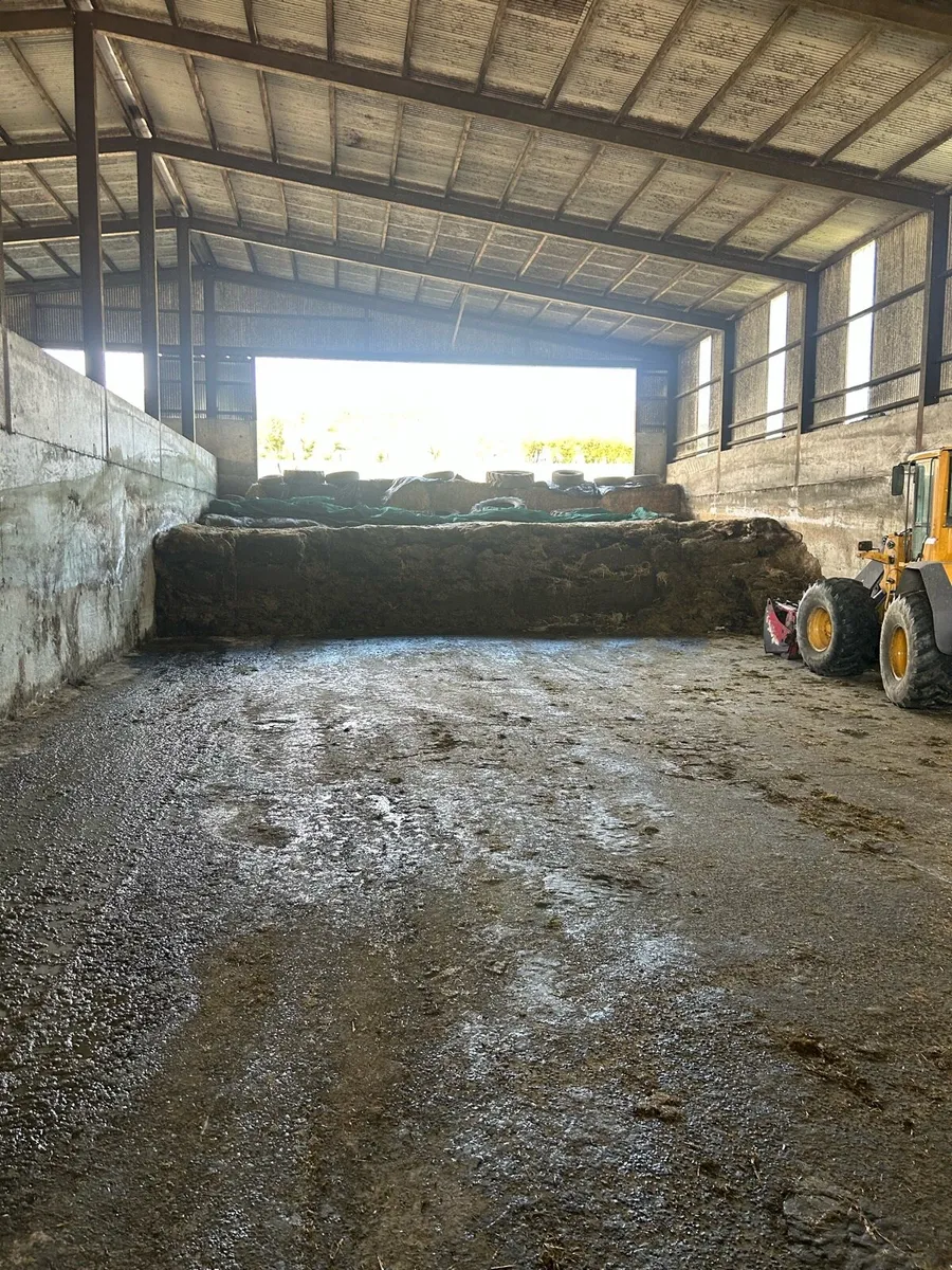 Pit Silage