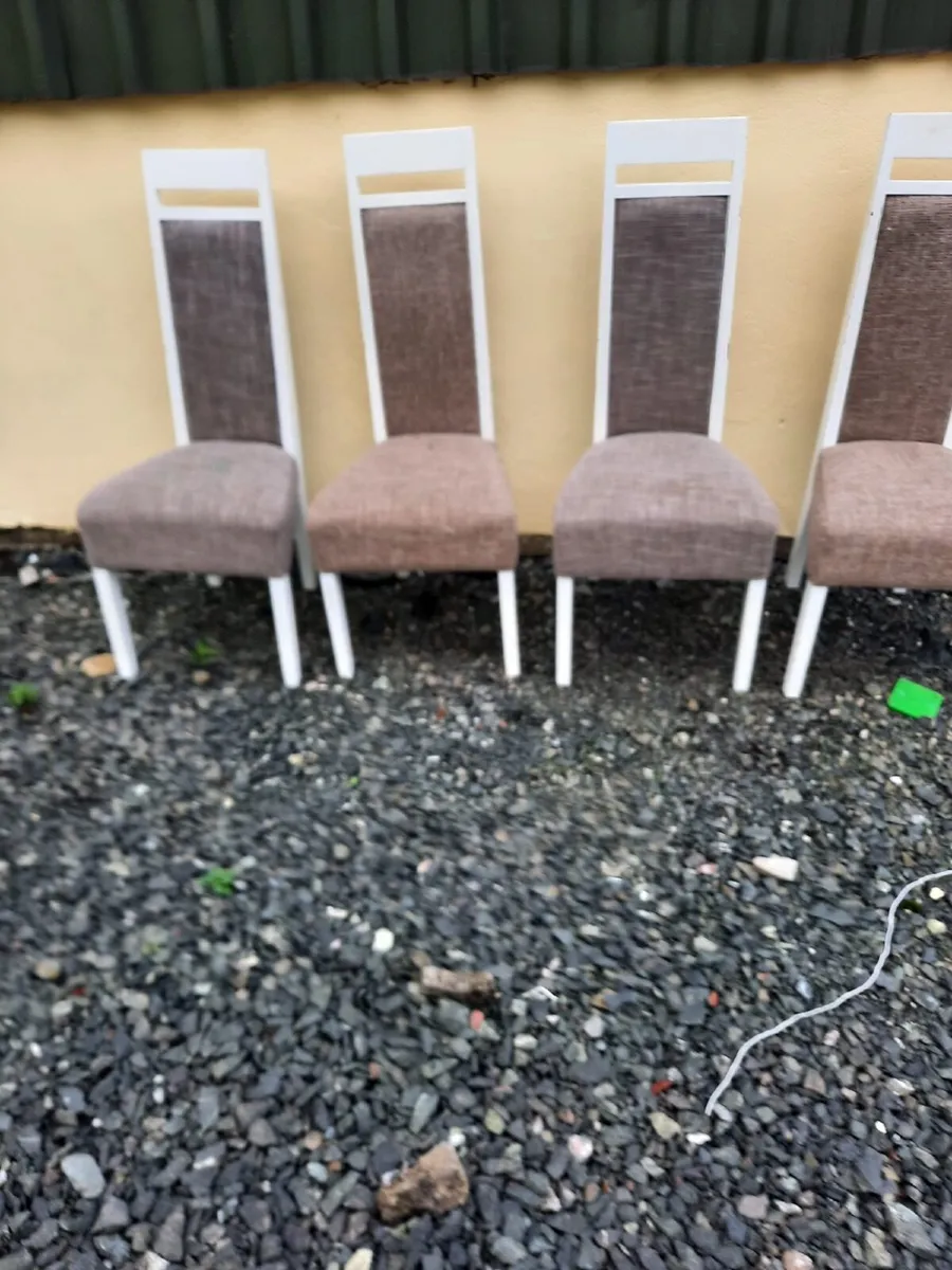 Kitchen chairs - Image 1