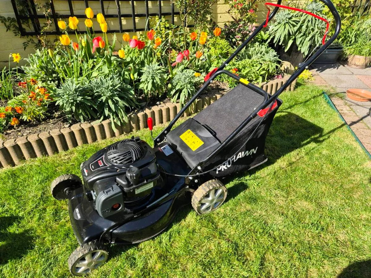 Lawn Mower - Image 1
