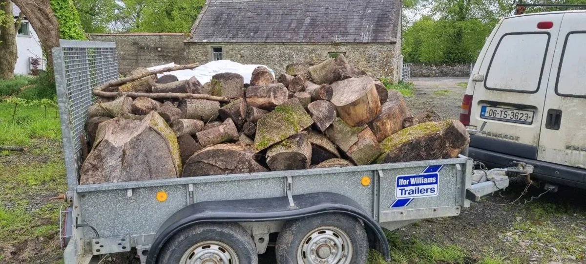Firewood - Image 1
