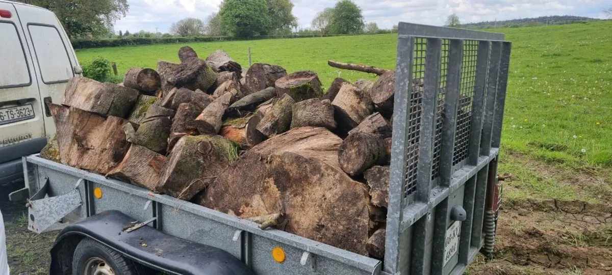 Firewood - Image 2