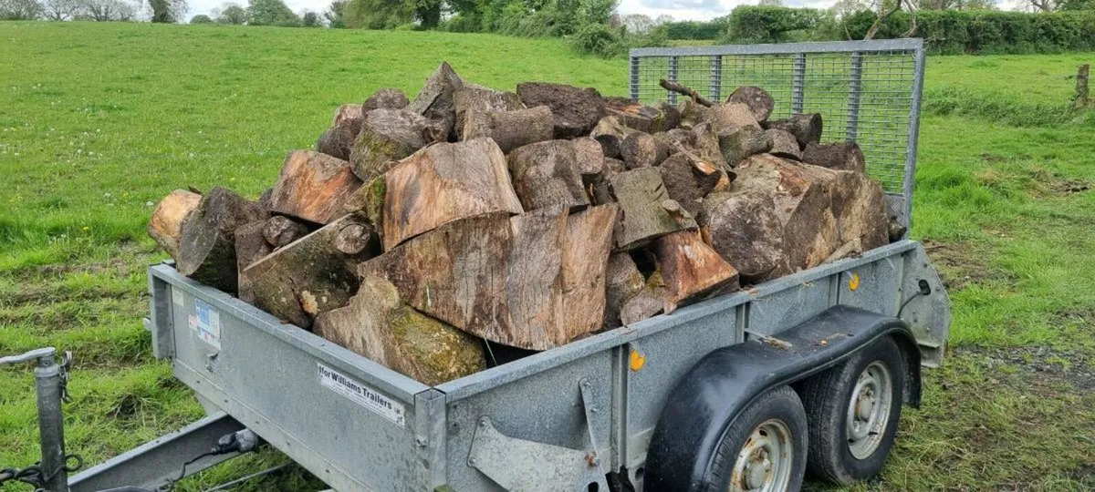 Firewood - Image 3