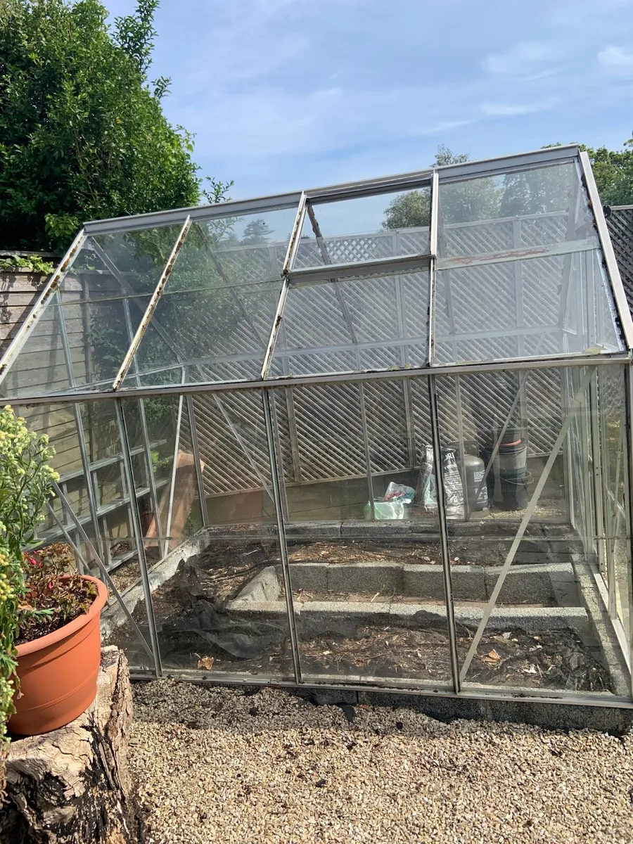 Greenhouse - Image 3