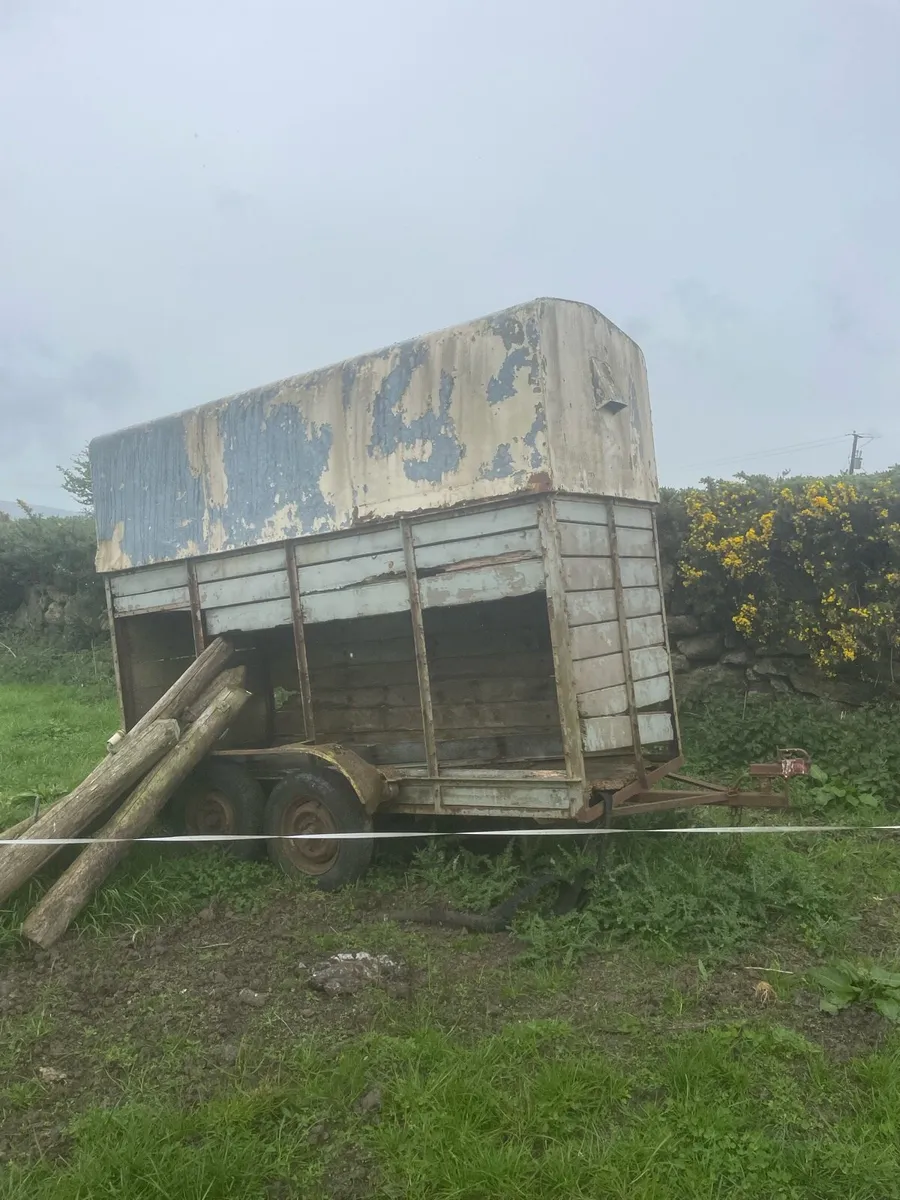 1 horse horse box for sale