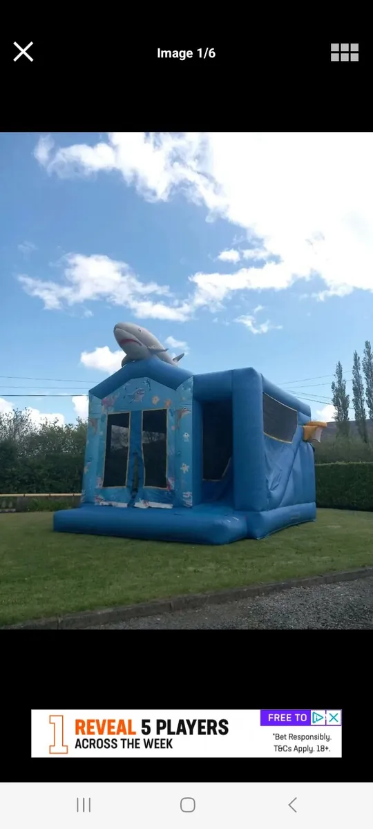 Bouncy Castles & Obstacle courses - Image 3