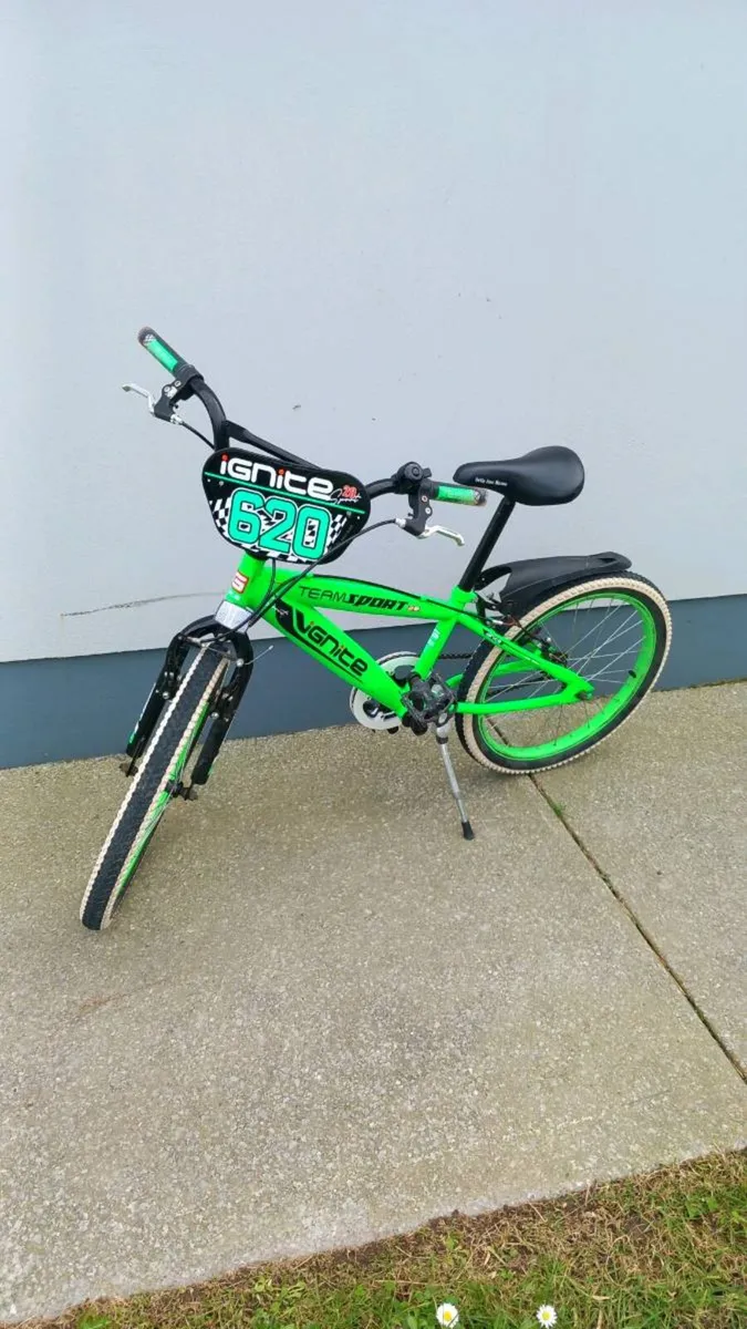 Bike - Image 1