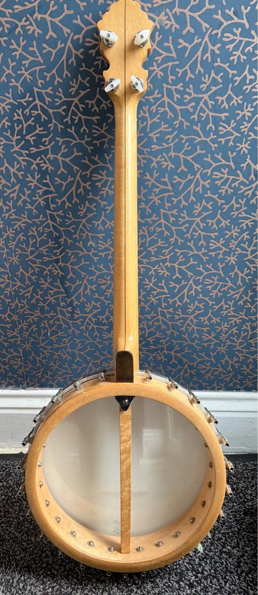 Langstile Tenor Banjo - Image 2
