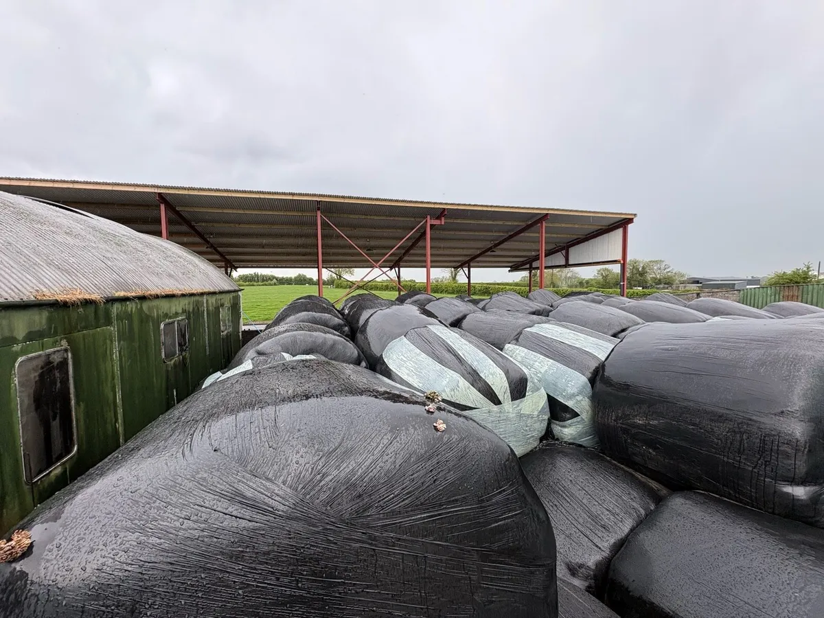 Silage - Image 2