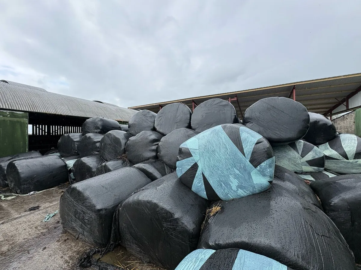 Silage - Image 3