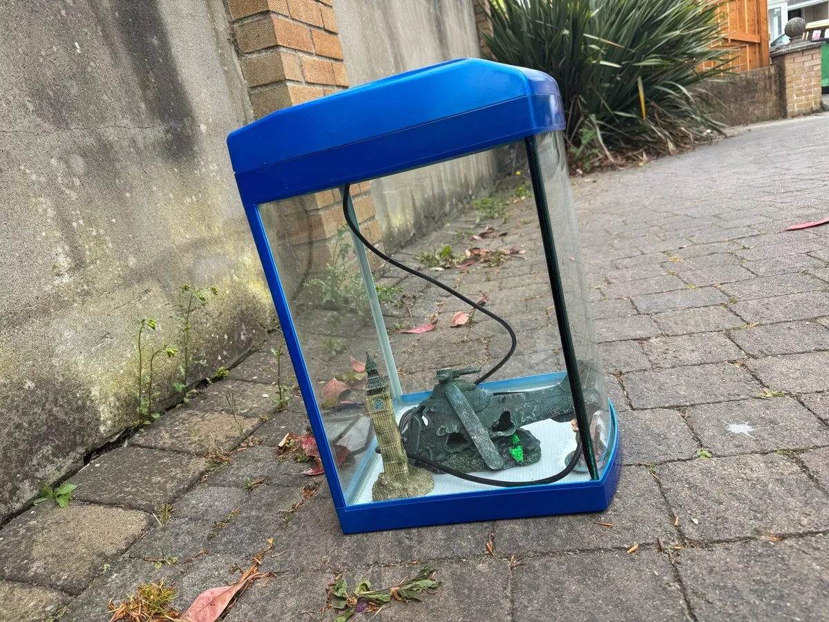 Fish tank - Image 2