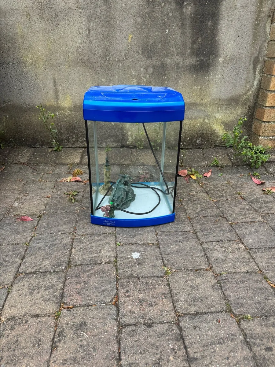 Fish tank - Image 1