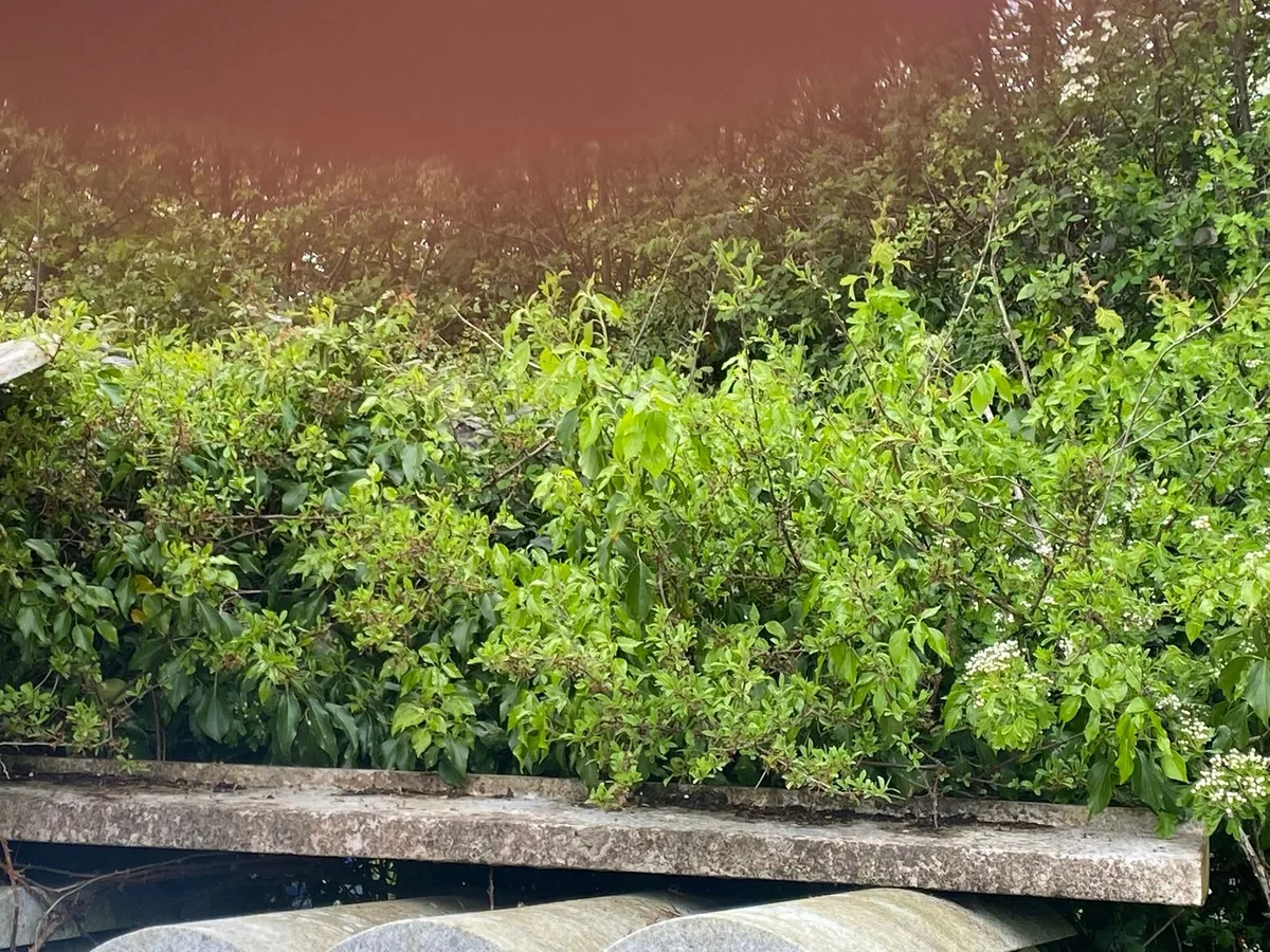 Window cills - Image 4