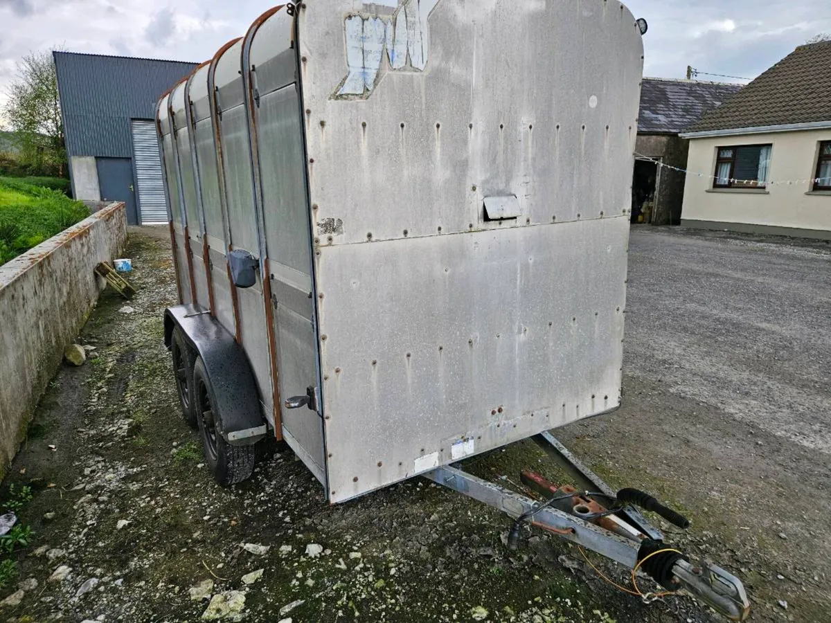 Ifor Williams 10x5 - Image 3