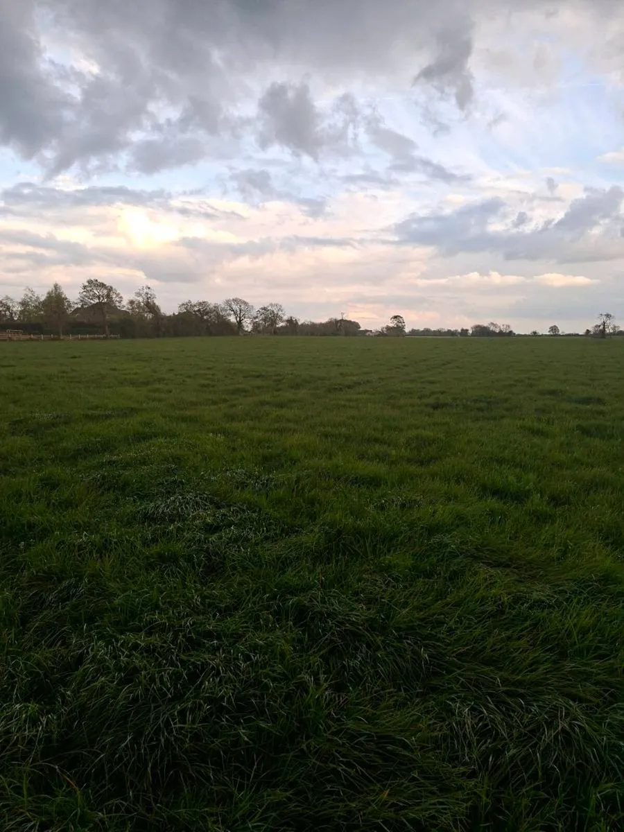 Silage meadows for sale - Image 3