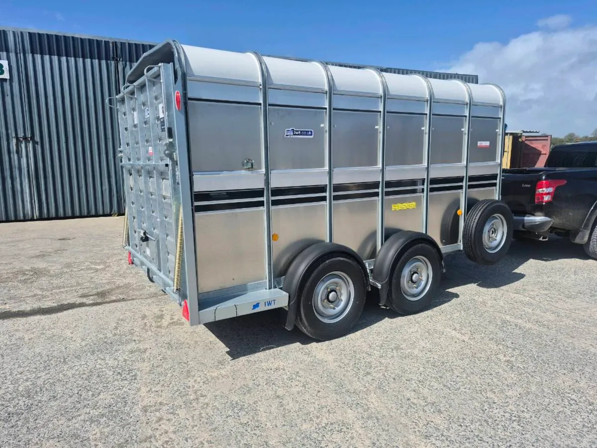 Ifor williams cattle trailer - Image 1