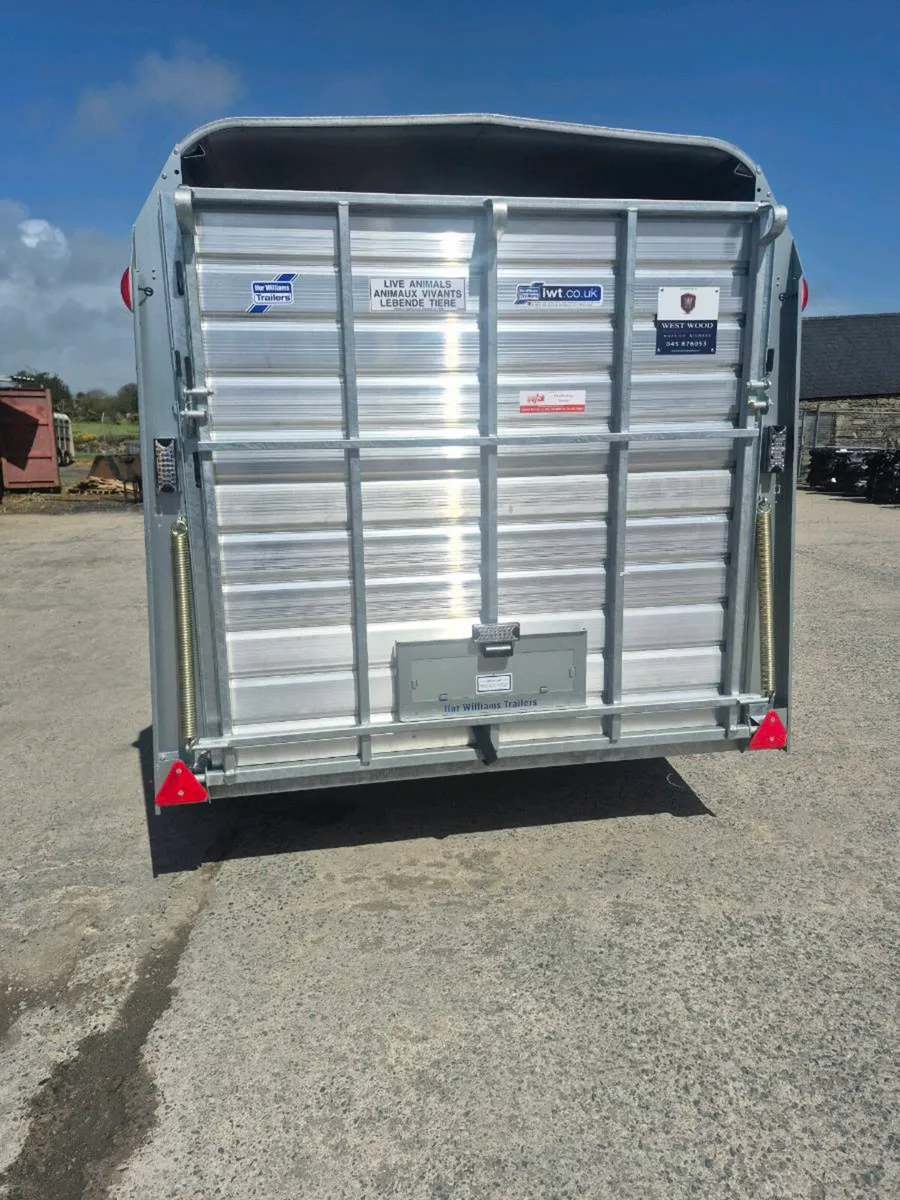 Ifor williams cattle trailer - Image 2