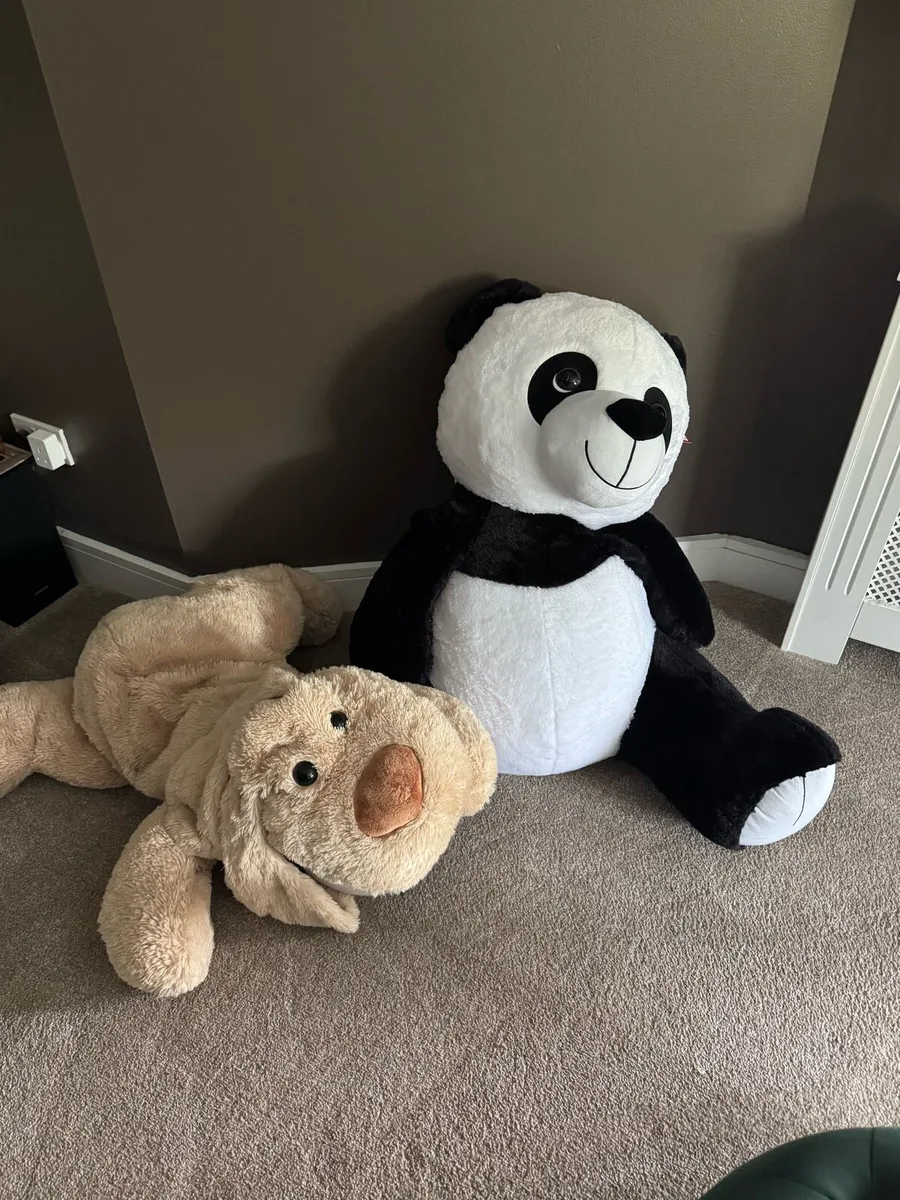 Large Teddies