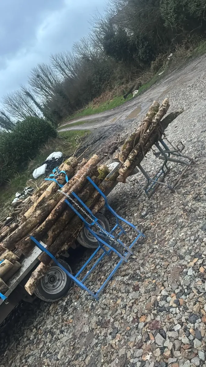 Timber holder - Image 2