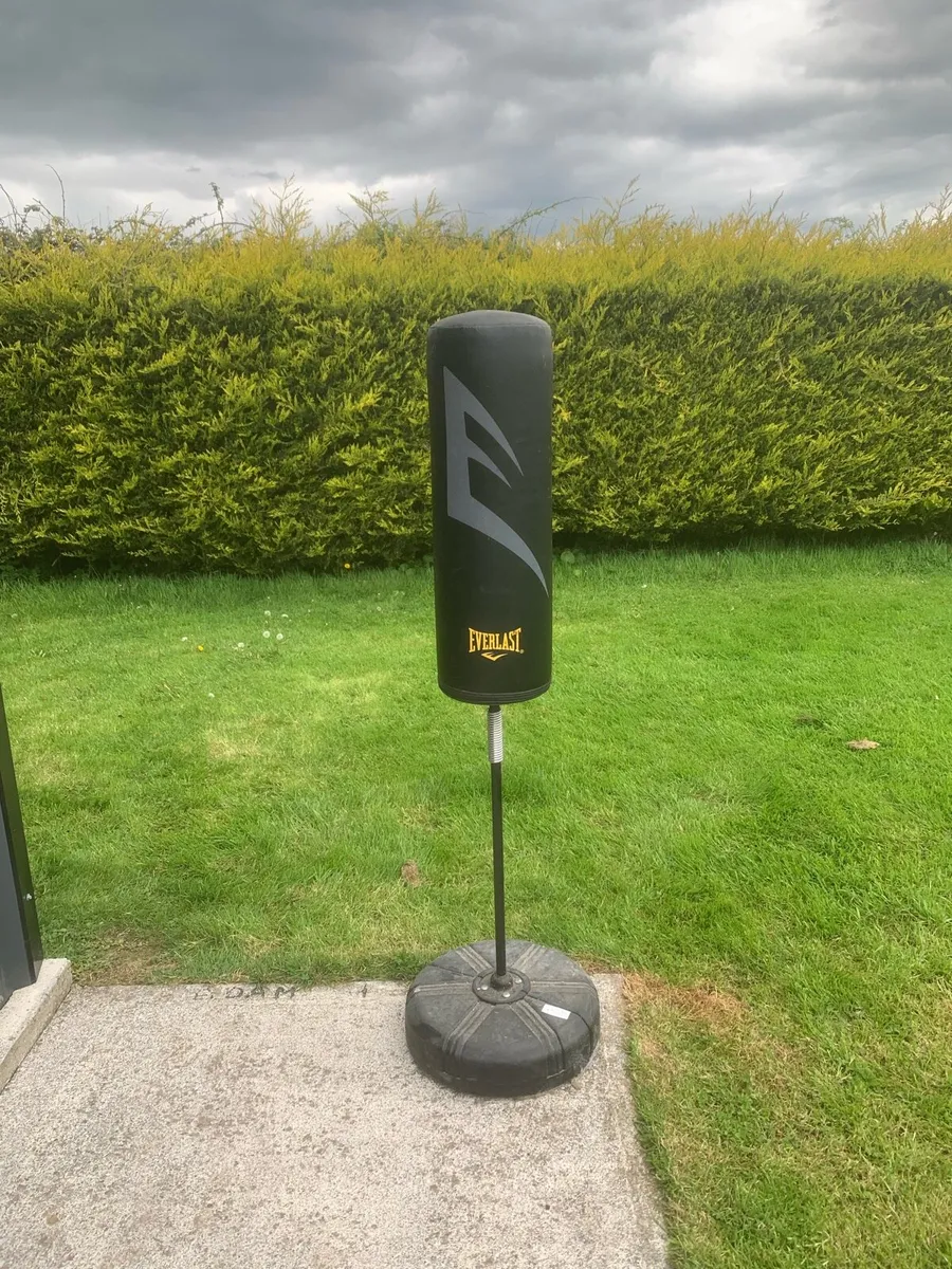 Gym Punching bag and weights - Image 1